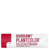 HURRAW! Plantcolor Sävyttävä huulivoide 4,8g - No1